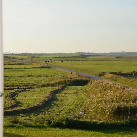 Litzkow 12805 Sylt