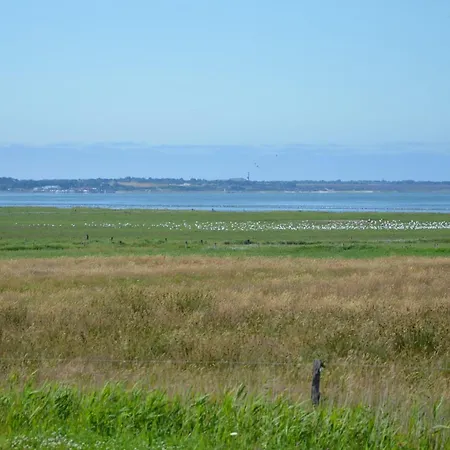Litzkow 12805 Sylt