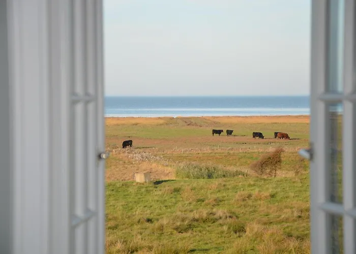 Litzkow 12805 * Sylt